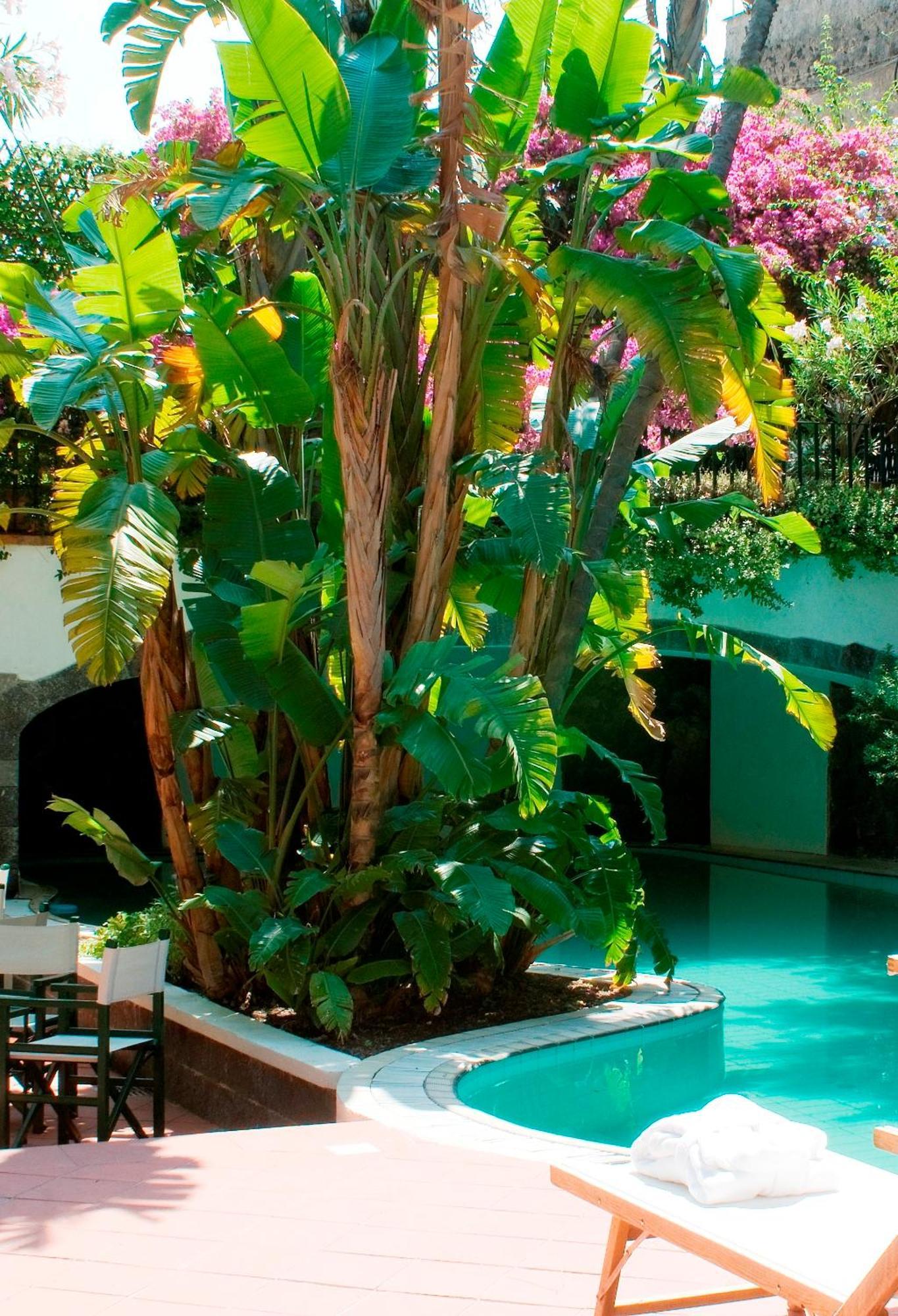 Hotel La Villarosa Terme Ischia Zewnętrze zdjęcie
